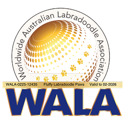 Logo organizacji WALA zrzeszającej hodowców australijskie labradoodle