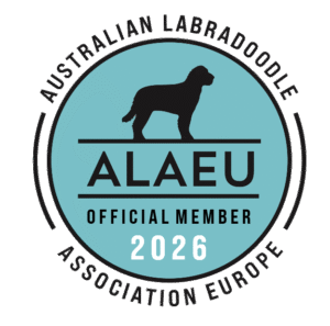 Australian Labradoodle Association Europe